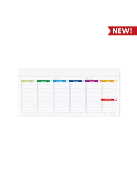 planning da tavolo 2024 multicolor