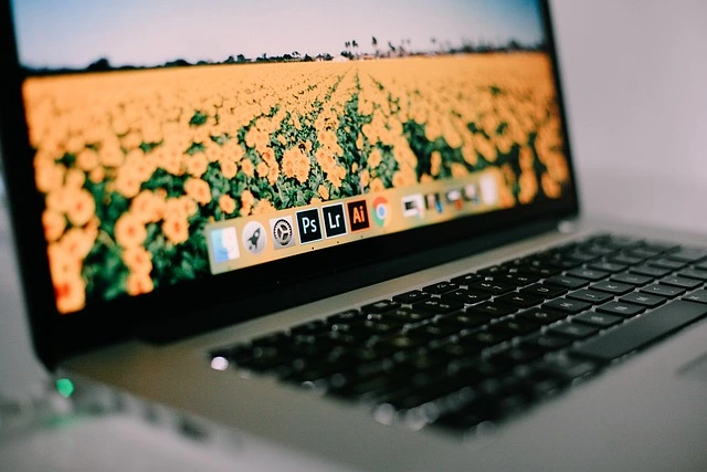 adobe lightroom: icona