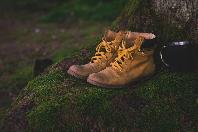 scarpa timberland