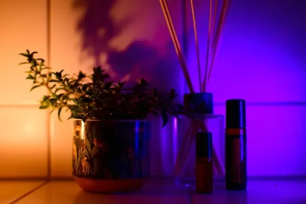 Diffusori per ambiente