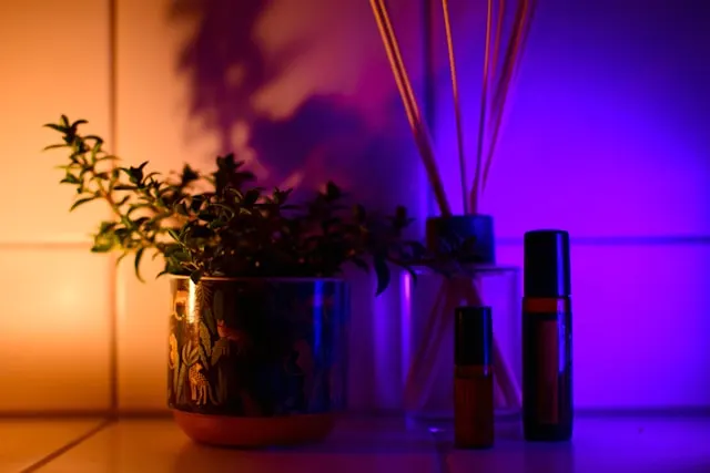 Diffusori per ambiente