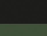 126881.jpg