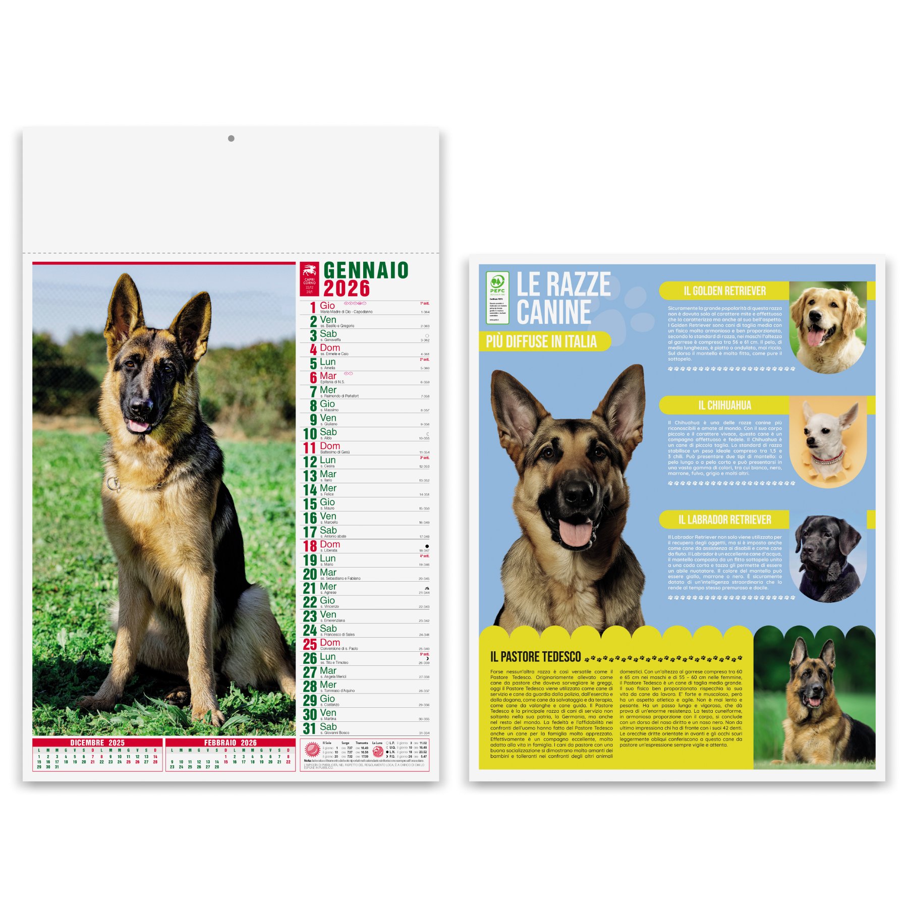 Calendario 2022 personalizzato con cani e gatti Da 0,40