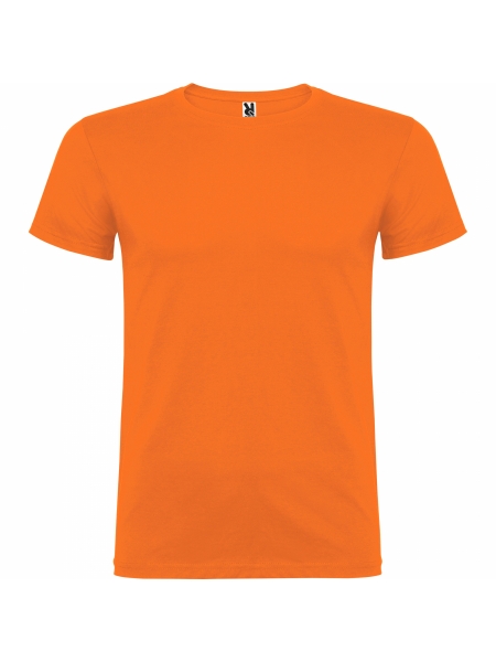 t-shirt-beagle-colorata-arancione.jpg