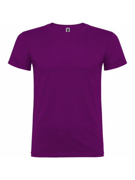 t-shirt-beagle-colorata-porpora.jpg