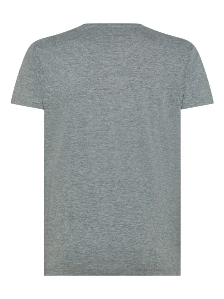 maglietta-uomo-personalizzabile-black-spider-evolution-grey-heather-292.webp