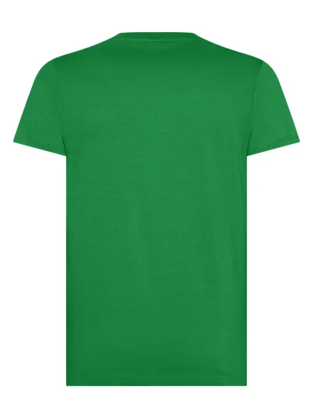 maglietta-uomo-personalizzabile-black-spider-evolution-kelly-green-296.webp