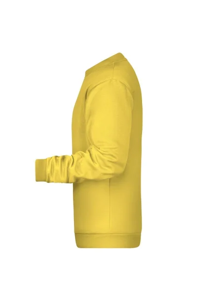 felpa-uomo-senza-cappuccio-280-g-m2-basic-james-nicholson-yellow-189.webp