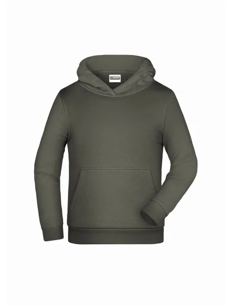felpe-con-cappuccio-da-bambino-280-g-m2-james-nicholson-basic-dark-grey-122.webp