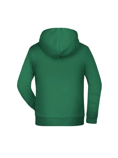 felpe-con-cappuccio-da-bambino-280-g-m2-james-nicholson-basic-irish-green-144.webp