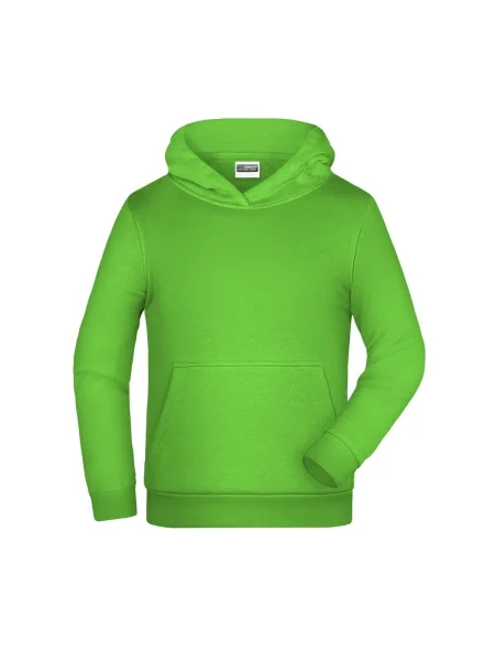 felpe-con-cappuccio-da-bambino-280-g-m2-james-nicholson-basic-lime-green-146.webp