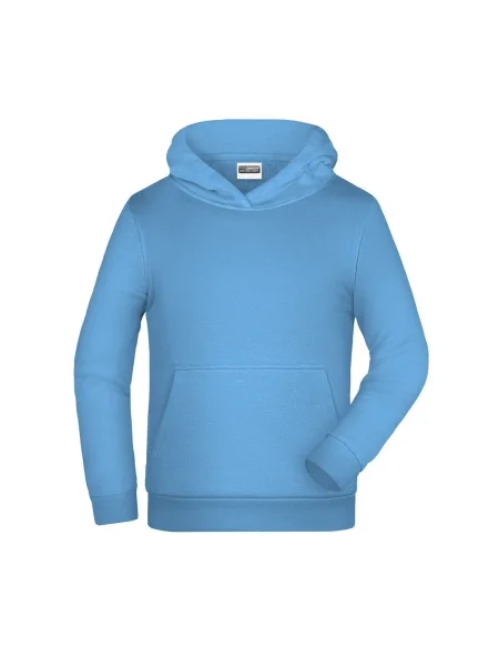 felpe-con-cappuccio-da-bambino-280-g-m2-james-nicholson-basic-sky-blue-178.webp