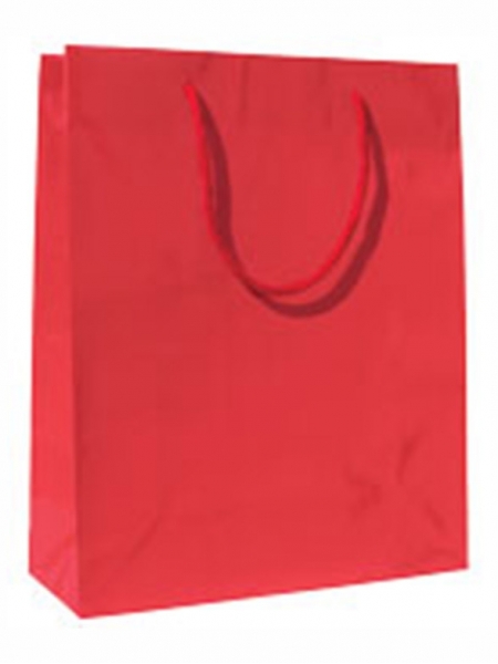 Buste di carta plastificate lucide lusso Colorate - 22x10x27,5+5 cm