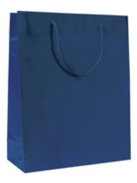 Buste di carta plastificate lucide lusso Colorate - 38 x 31 x 13 cm