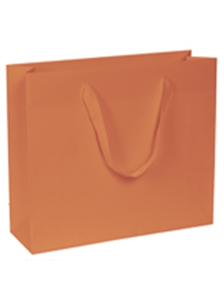 buste-di-carta-kraft-colorate-maniglia-fettuccia-42x13x376-cm-corallo.jpg