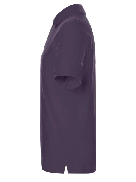 polo-uomo-james-nicholson-classic-195-g-m2-aubergine-162.webp