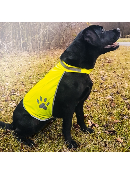 Gilet di sicurezza per cani Korntex