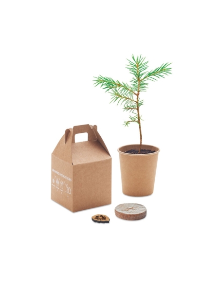 Set con semi di pino personalizzato Growtree