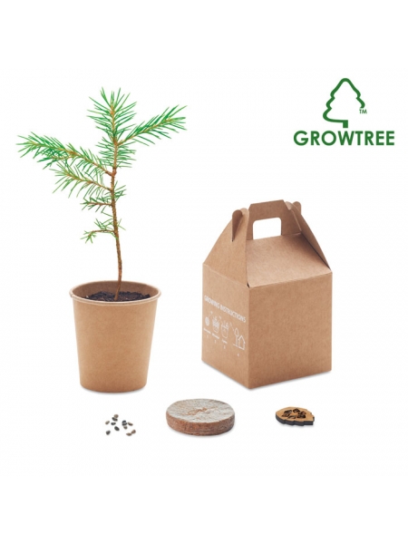 Set con semi di pino personalizzato Growtree