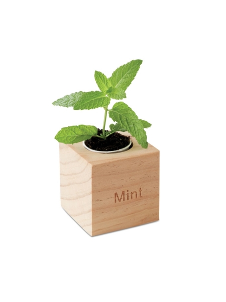 Vaso mini in legno personalizzato Menta