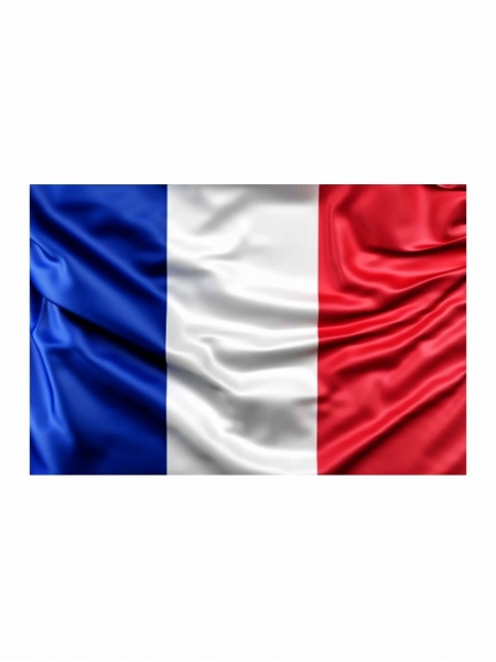 Bandiera della Francia 100x70 cm