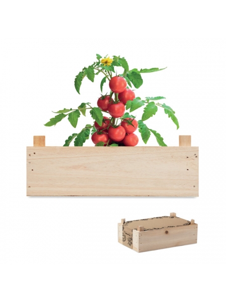 Kit semi di pomodoro personalizzato Tomato