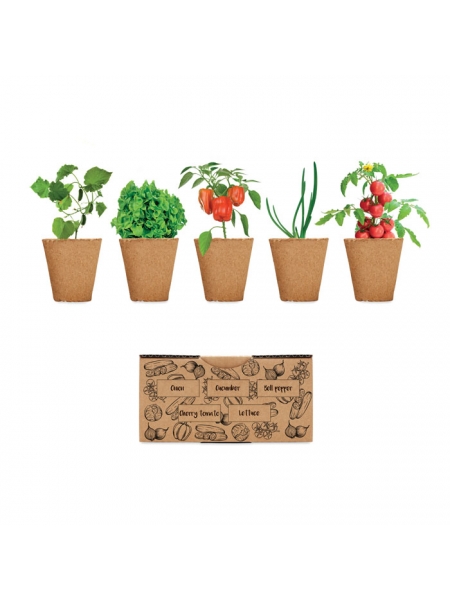 Kit semi orto per insalata personalizzato Salad