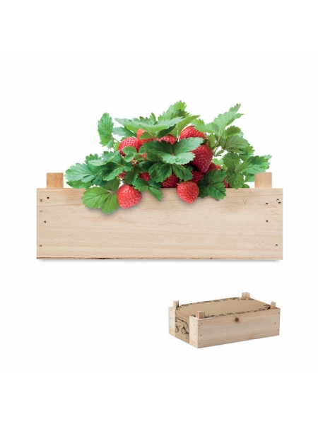 Kit coltivazione fragole personalizzato Strawberry