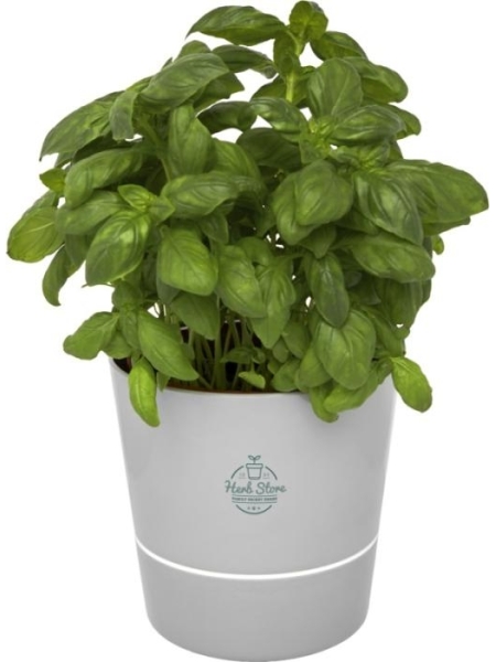 Vaso da giardino personalizzato Mepal Herb