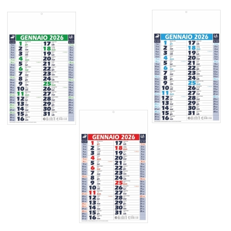 Calendario trimestrale da parete Olandese 12 fogli