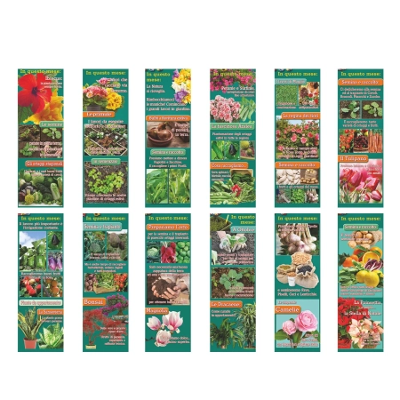3_calendario-da-parete-personalizzato-online-stampasi.webp