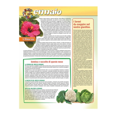4_calendario-da-parete-personalizzato-online-stampasi.webp