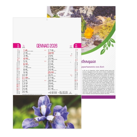 Calendario trimestrale da parete 12 fogli