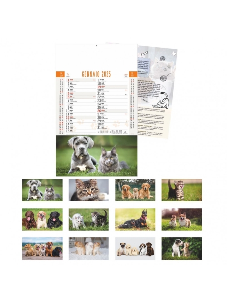 Calendario Cani e Gatti trimestrale 12 fogli