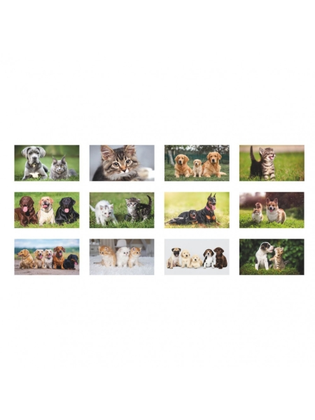 Calendario Cani e Gatti trimestrale 12 fogli