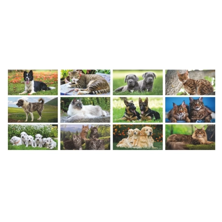 3_calendari-cani-e-gatti-personalizzati-low-cost-stampasi.webp