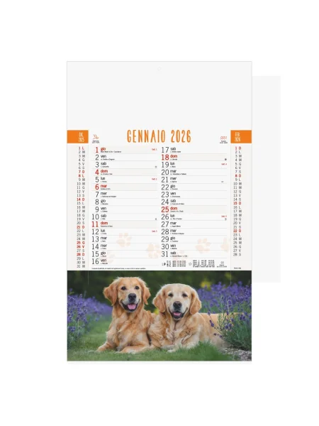 Calendario Cani e Gatti trimestrale 12 fogli