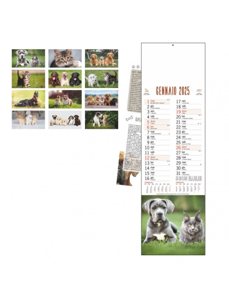 Calendario cani e gatti olandese trimestrale - 12 fogli