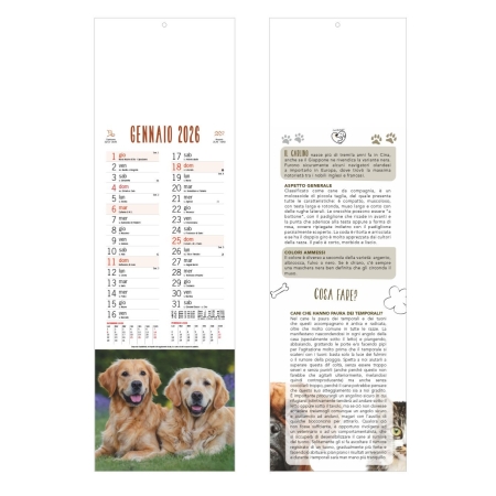 Calendario cani e gatti olandese trimestrale - 12 fogli
