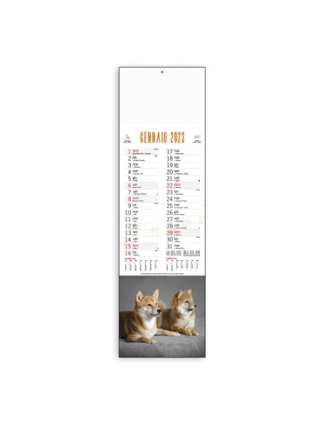 Calendario olandese Cani e Gatti trimestrale - 12 fogli