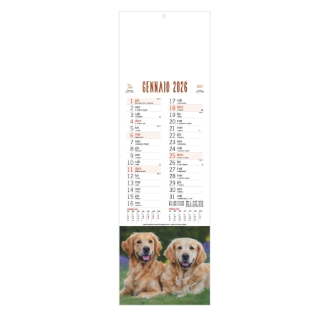 calendario-cani-e-gatti-personalizzato-online-stampasi-colore-unico.jpg