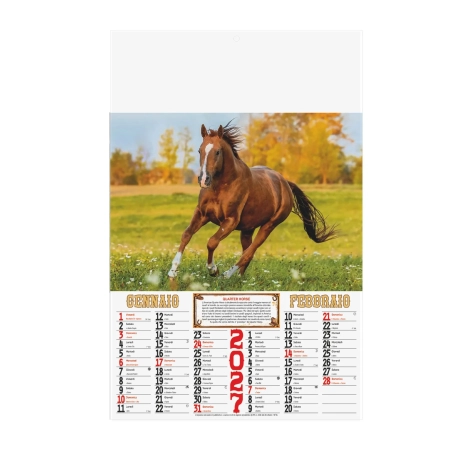 Calendario Cavalli bimestrale - 6 fogli