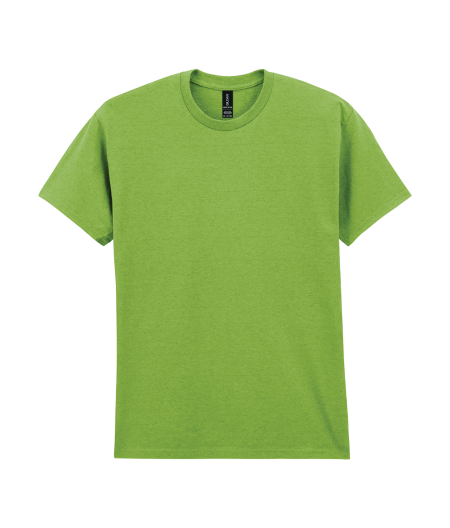 22_heavy-cotton-adult-t-shirt-gildan-kiwi.png