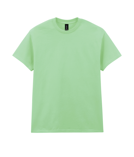 29_heavy-cotton-adult-t-shirt-gildan-mint-green.png