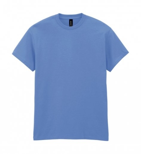 43_heavy-cotton-adult-t-shirt-gildan-carolina-blue.jpg