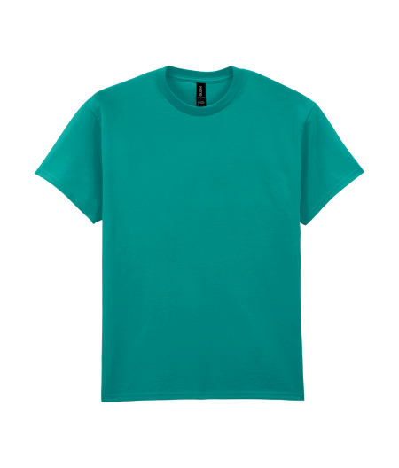 32_ultra-cotton-adult-t-shirt-gildan-jade-dome.png