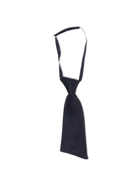 Cravatta da donna personalizzata Giblor's Necktie Woman