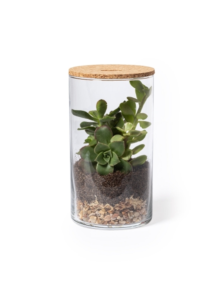 terrarium-anymak-colore-unico.jpg