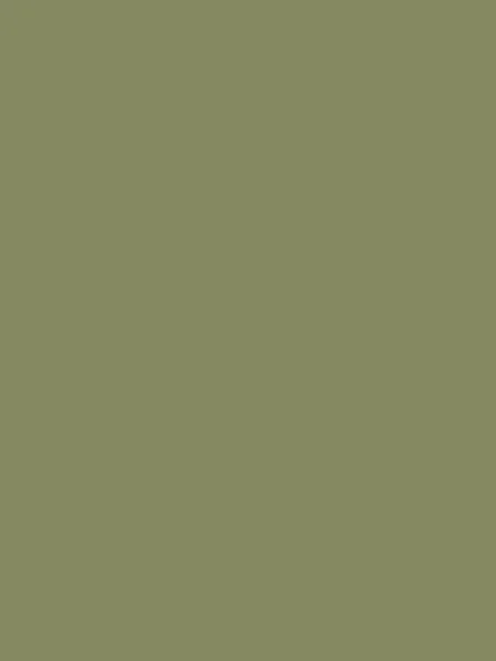 felpa-neonato-personalizzabile-280-g-m2-ecologica-baby-bugz-essential-soft-olive-20.webp