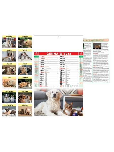 Calendari Cani e Gatti cm 28,8x47